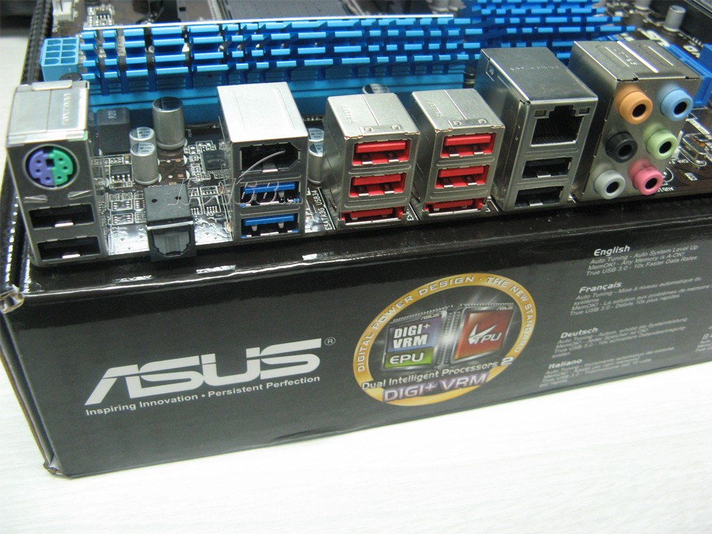 开云电竞官网_桃树叶子发黄原因及防治措施(图3) 开云电竞app下载安装