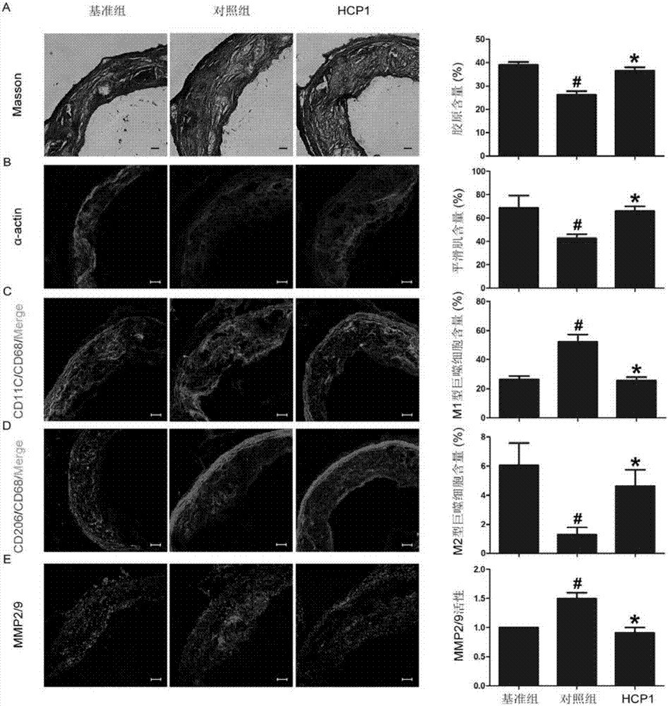 开云电竞app下载安装
