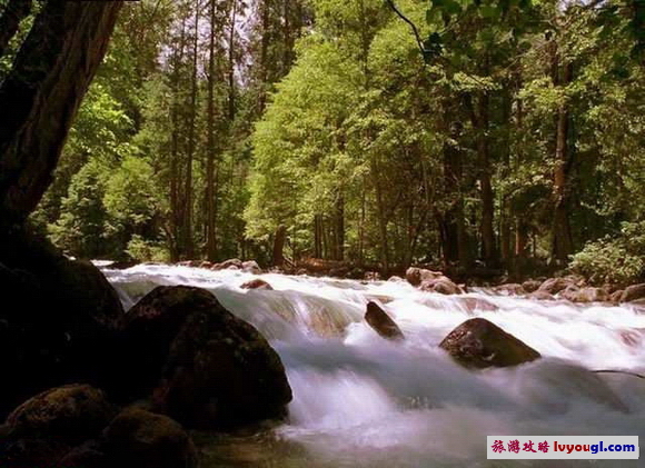 开云电竞app下载安装