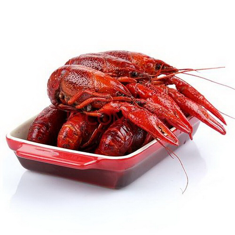 开云电竞app下载安装