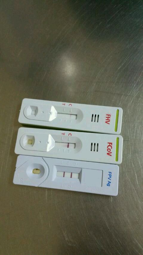 开云电竞app下载安装