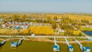 开云电竞app下载安装