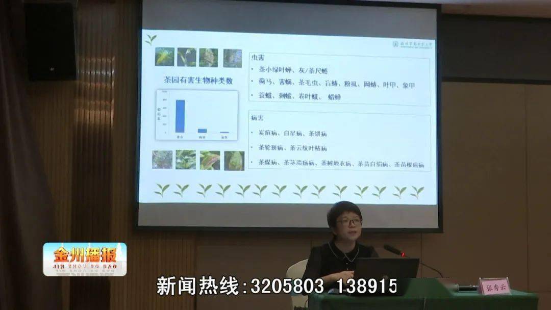 开云电竞：
汉滨茶叶评鉴暨加工技术高级培训班开班(图2)